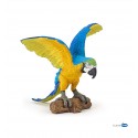 Blue ara parrot