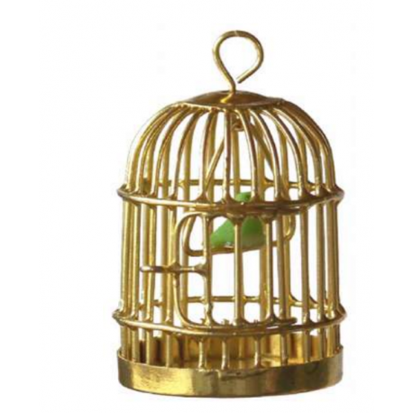 Canary in cage