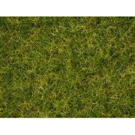 Master Grass Blend “Summer Meadow”
