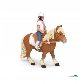 Shetland pony with saddle