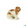 Lop rabbit
