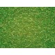 Scatter Material light green