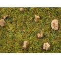 Scatter Grass “Alpine Meadow”