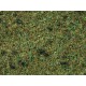 Scatter Grass “Forest Floor”