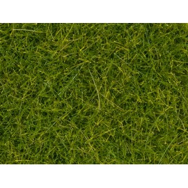 Wild grass “Meadow” XL