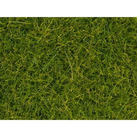 Wild grass “Meadow” XL