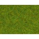 Scatter Grass “Spring Meadow”