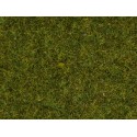 Scatter Grass “Spring Meadow”