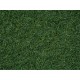 Scatter Grass “Marsh Soil”