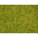 Scatter Grass “Summer Meadow”