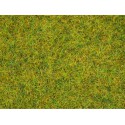 Scatter Grass “Summer Meadow”