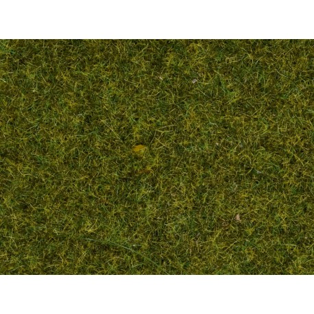 Scatter Grass “Meadow”