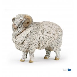Merinos sheep