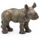 Rhinoceros Cub