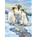 Penguin Family