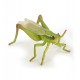 Grasshopper figure