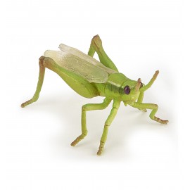 Grasshopper figure