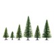 Model Spruce Trees
