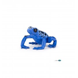 Equatorial blue frog