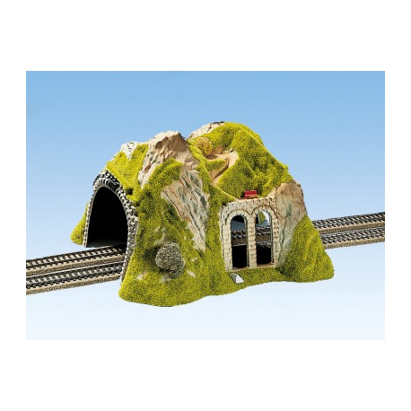 Double track tunnel