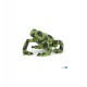Equatorial green frog