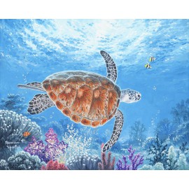 Sea turtle