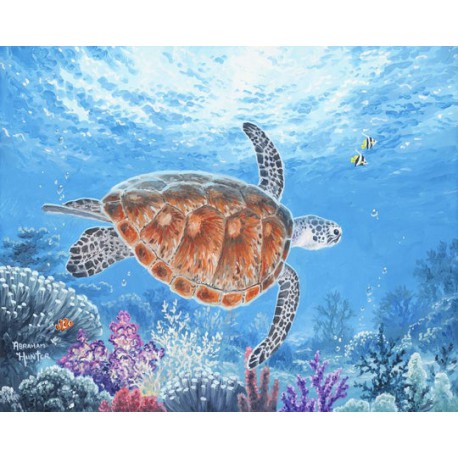 Sea turtle