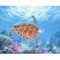 Sea turtle