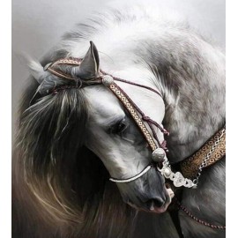 Elegantiškas žirgas