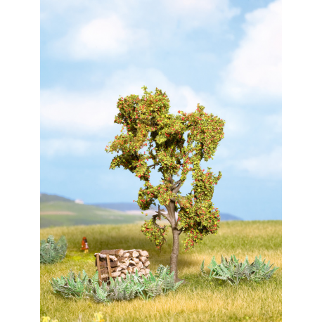 Rowan Tree with Berries