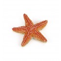 Starfish figure