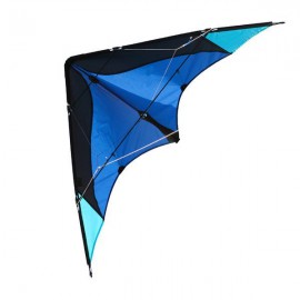 Delta Basic kite