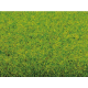 Grass Mat “Spring Meadow”