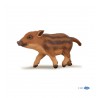 Young wild boar