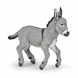 Provence donkey foal