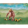 Orangutangas