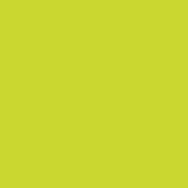 Akriliniai dažai - geltona (Yellow Green)
