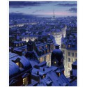 Paryžiaus stogai