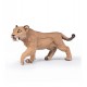 Young smilodon