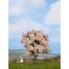 Fruit Tree