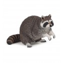 Raccoon