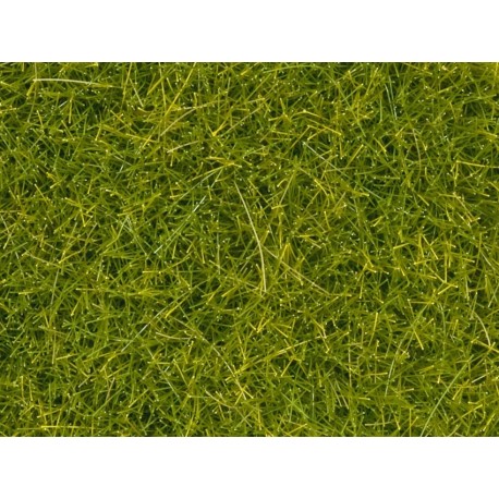 Scatter Grass