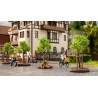 Saplings with Tree Props