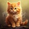 Kitty