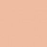 Acrylic color - Basic Skin Tone