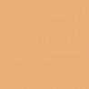 Acrylic color - Sunny Skintone