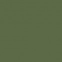 Acrylic color - Uniform Green