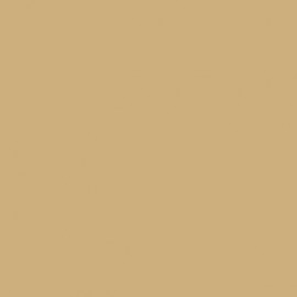 Akriliniai dažai - ruda (Buff)