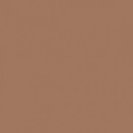 Akriliniai dažai - ruda (Brown Sand)