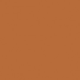 Akriliniai dažai - oranžinė (Orange Brown)